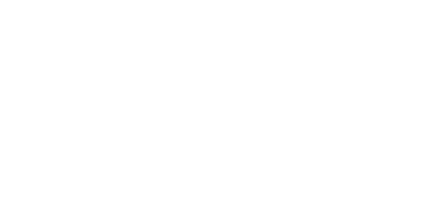 BETTIO FLYSCREENS S.r.l.